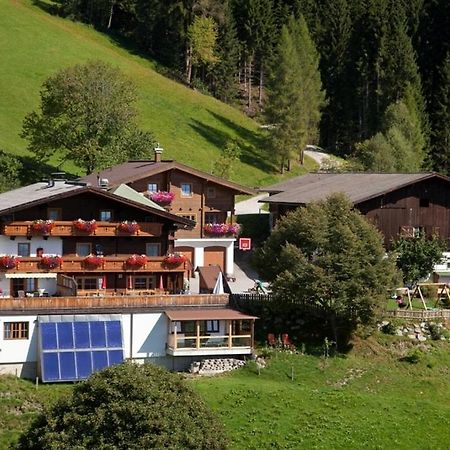 Berggasthof-Ferienbauernhof Habersatt อัลเทนมาร์คท์ อิม พองเงา ภายนอก รูปภาพ